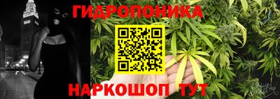 ГАЛЛЮЦИНОГЕННЫЕ ГРИБЫ Новокубанск